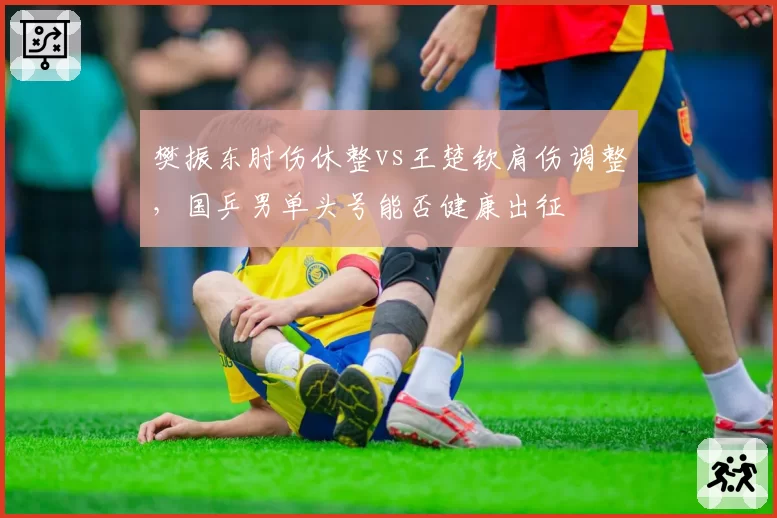樊振东肘伤休整vs王楚钦肩伤调整，国乒男单头号能否健康出征