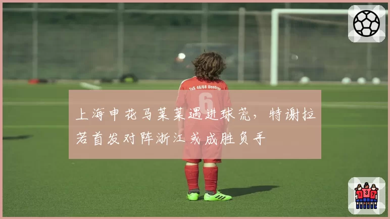上海申花马莱莱遇进球荒，特谢拉若首发对阵浙江或成胜负手
