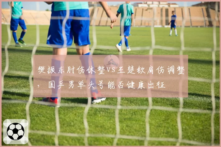 樊振东肘伤休整vs王楚钦肩伤调整，国乒男单头号能否健康出征