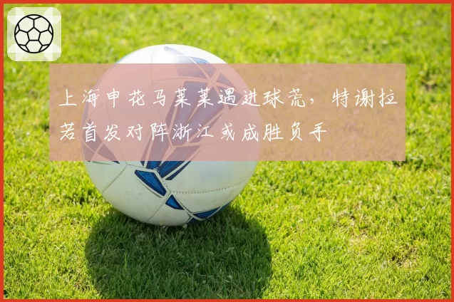 上海申花马莱莱遇进球荒，特谢拉若首发对阵浙江或成胜负手